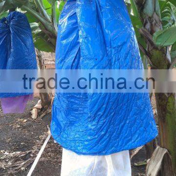 Agriculture Cover Banana Protection Bags