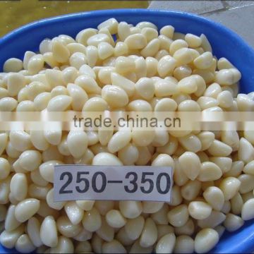 Salted garlic in brine 250-350