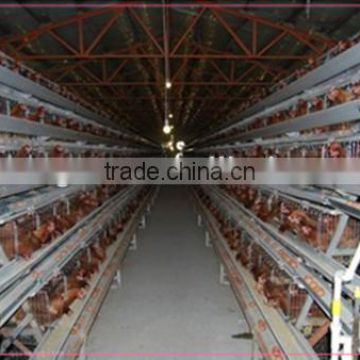 water chicken cage of poultry feeder for sale