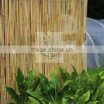 natural reed fence for garden