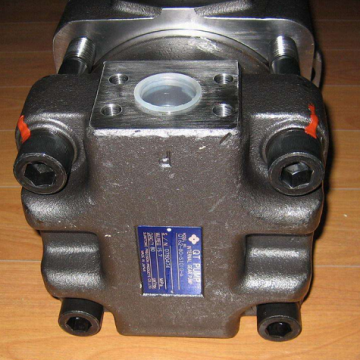 Qt5133-125-10f Industry Machine Iso9001 Sumitomo Gear Pump