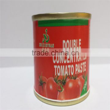 tomato paste factory