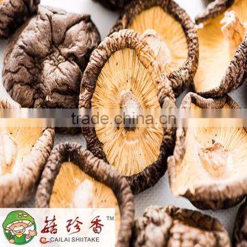High Quality Dried Shiitake Mushroom, High Quality Shiitake freeze dried shiitake mushroom