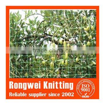 10gsm bird control netting