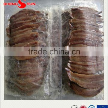 Hot sales frozen Salted Anchovy fish
