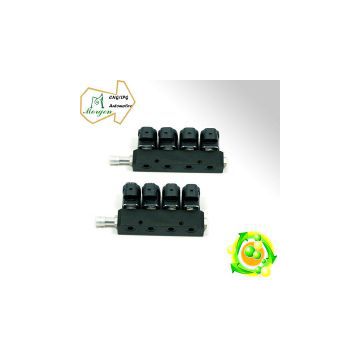 CNG LPG 8 cylinder injection rail injector rail