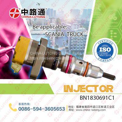 mechanical Unit Injector fits for cat pump high pressure pump oil 247-6022