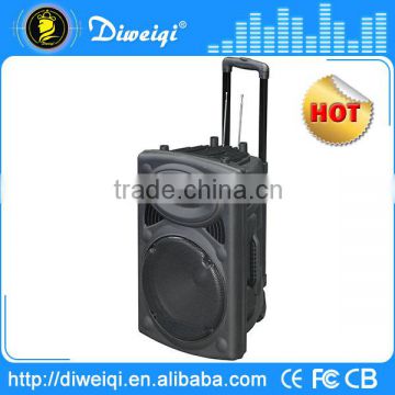 Top selling 12 inch built in Rechargeable amplifier speaker with trolley