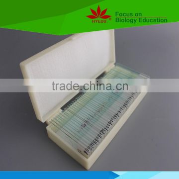 Individual low priced cotton diseases microscope prepared slides