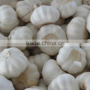2015 Fresh Garlic - new arrival, hot sales natural ali