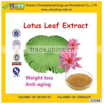 Natural Lotus Leaf Plant Extract powder 2% ,10%,50%,10:1,20:1Nuciferine