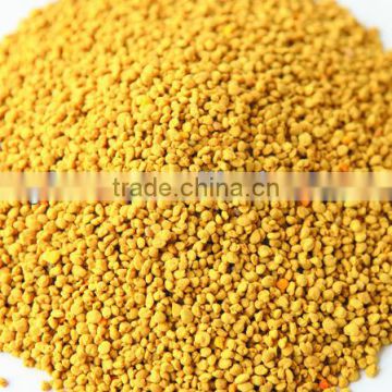 flower period fresh bee pollen for human and bee