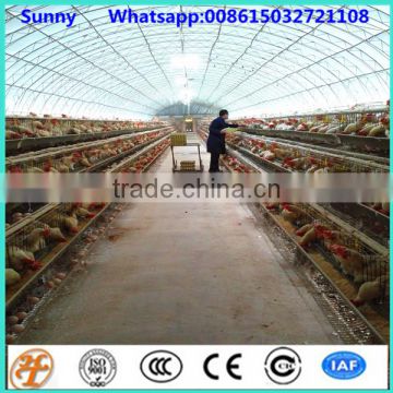 types of layer chicken cages for zimbabwe poultry farms