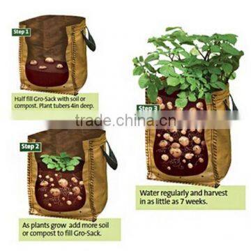 planter grow bag in your garden