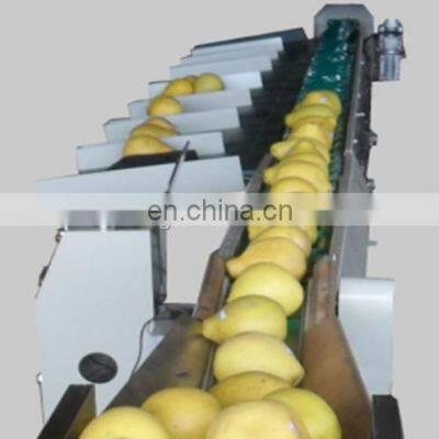 automatic Electronic Fruit Sorting Machine