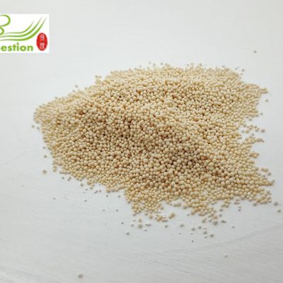 Solanesol separation and purification resin