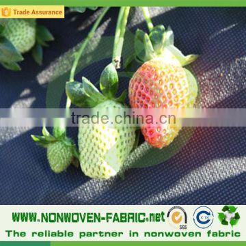 Agriculture PP Spunbond Non Woven Fabric Weed Control Mat/Banana grow bag with 17gsm pp spunbonded non-woven fabric