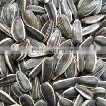 sunflower seeds for human consumption