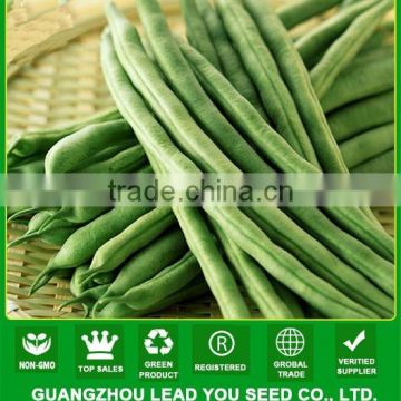 NBE08 Zoulu vegetable seeds for growing, bean seeds, pea seeds