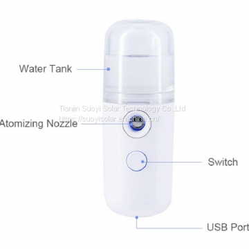 Latest Mini Electronic Beauty Instrument Face Vaporizer Anion Nano Sprayer Water Replenisher Handheld Cold Spray