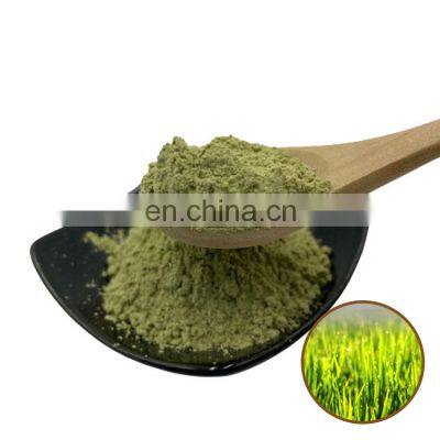 China Supplier Supply Pure Natural Barley Grass Extract Powder