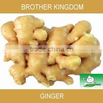 air dried ginger,fresh ginger,dried ginger