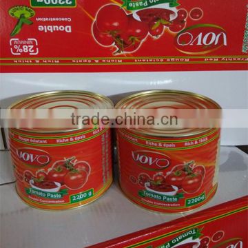 198g*48tins Canned tomato paste ,hot sell with high quality