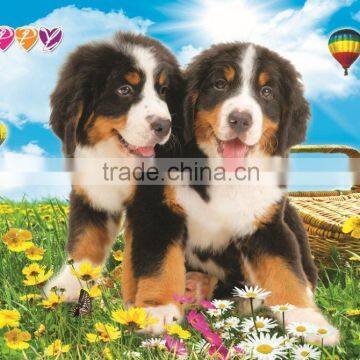 Xinlong dog poster paper painting/ wall picture