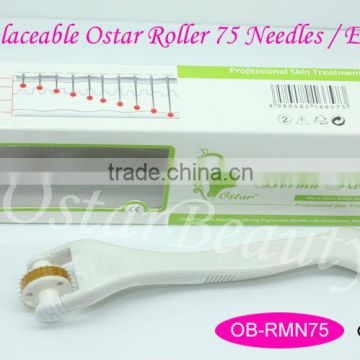 Changeable roller head system titanium micro needle roller