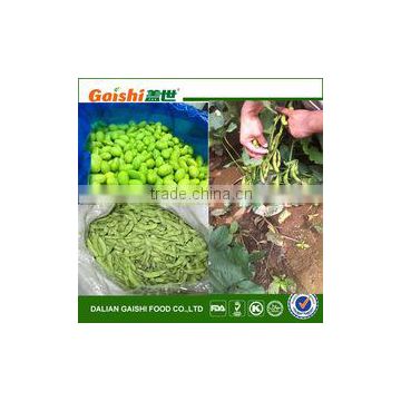 2016 new product frozen bulk soy green beans