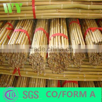 Wy-C109 Nature yellow bamboo pole