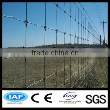 china Anping horse corral fence manufacturer