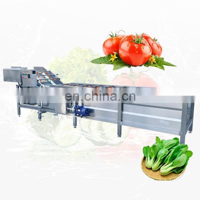 Best Home Vegetable Date Commercial Banana Fruit Washer Automatic Seafood Fish Bubble Wash Machine