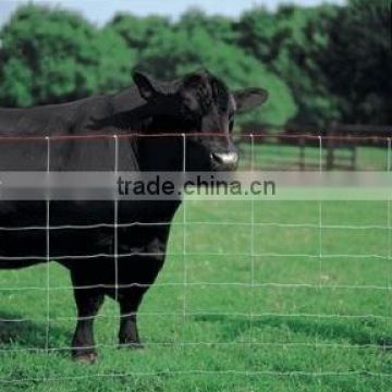 Cheap and High Quality Field Fencing for Sela