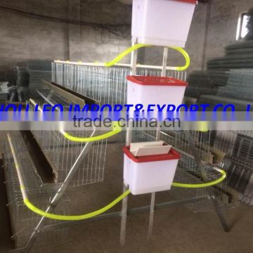 A-120China manufacturer best design layer chicken cages for sale
