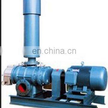 The roots vacuum pump