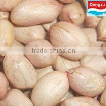chinese high quality peanut 38/42