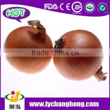 Small and Big Fresh Red Onion From China