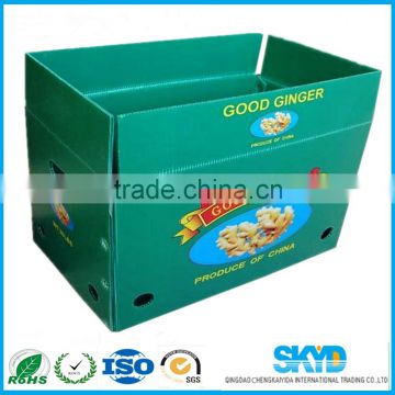 fresh Ginger shipping boxes pp corrugated plastic sheets