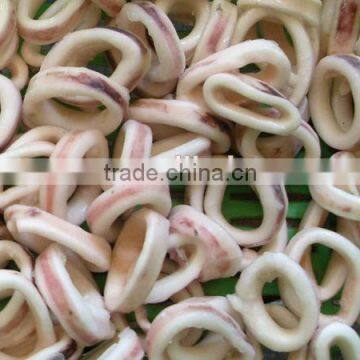 frozen fresh loligo squid ring skin on