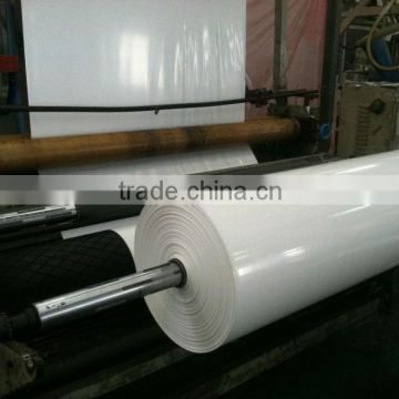 PE scaffolding film construction worker protection film