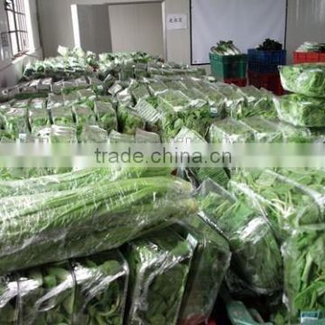 High performance horizontal pillow packaging machinery for vegetables CB-600