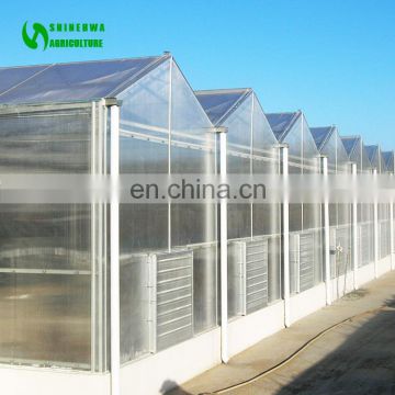 UV Coating Polycarbonate Plastic Sheet Greenhouse For Hobby