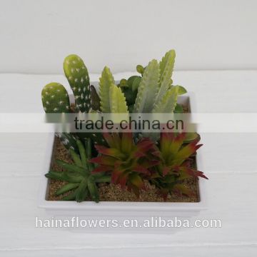 2014 best selling Potted indoor mini artificial cactus plants