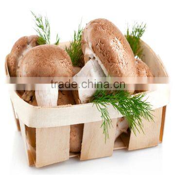 frozen mushroom from china