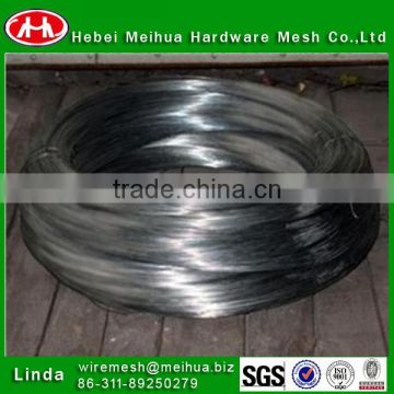 cut metal wire/electro galvanized wire/coil wire