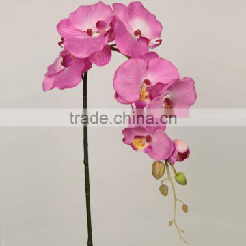 foshan phalaenopsis orchid white red 27537