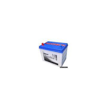 Car Battery (NX110-5)