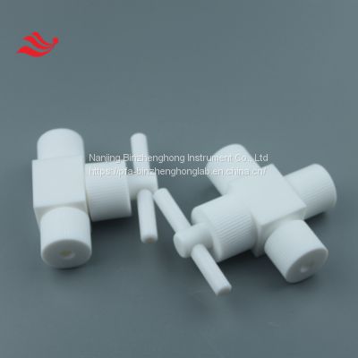 Customized PTFE Valve with Different Joint for Pipe Connection