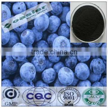 Natural GMP hot sale 10%-25% Anthocyanidin 15%chlorogenic Blueberry Extract